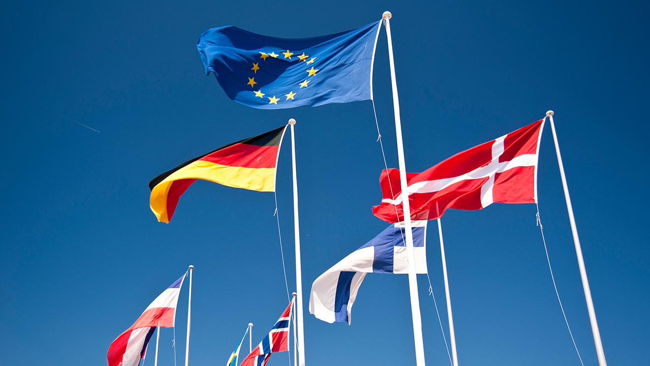 EU:n ja sen jäsenmaiden lippuja.